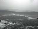 ./images/koeye/fitz-hugh/20161228/fitz-hugh20161228_140002.jpg