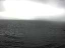 ./images/koeye/fitz-hugh/20161229/fitz-hugh20161229_121502.jpg