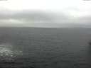 ./images/koeye/fitz-hugh/20161229/fitz-hugh20161229_122402.jpg