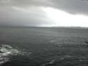 ./images/koeye/fitz-hugh/20161231/fitz-hugh20161231_121802.jpg