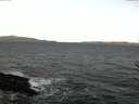 ./images/koeye/fitz-hugh/20170102/fitz-hugh20170102_080001.jpg