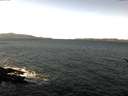 ./images/koeye/fitz-hugh/20170102/fitz-hugh20170102_120003.jpg