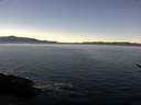 ./images/koeye/fitz-hugh/20170104/fitz-hugh20170104_115703.jpg