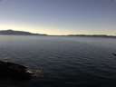 ./images/koeye/fitz-hugh/20170104/fitz-hugh20170104_121502.jpg