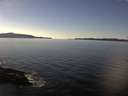 ./images/koeye/fitz-hugh/20170104/fitz-hugh20170104_140002.jpg