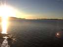 ./images/koeye/fitz-hugh/20170104/fitz-hugh20170104_160003.jpg