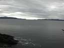 ./images/koeye/fitz-hugh/20170105/fitz-hugh20170105_121502.jpg