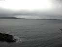 ./images/koeye/fitz-hugh/20170106/fitz-hugh20170106_105705.jpg