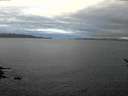 ./images/koeye/fitz-hugh/20170107/fitz-hugh20170107_095703.jpg