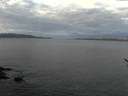 ./images/koeye/fitz-hugh/20170107/fitz-hugh20170107_102703.jpg