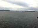 ./images/koeye/fitz-hugh/20170108/fitz-hugh20170108_102703.jpg