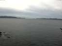 ./images/koeye/fitz-hugh/20170108/fitz-hugh20170108_105702.jpg