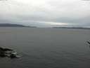 ./images/koeye/fitz-hugh/20170108/fitz-hugh20170108_115702.jpg