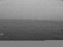 ./images/koeye/fitz-hugh/20170109/fitz-hugh20170109_075705.jpg