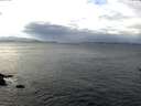 ./images/koeye/fitz-hugh/20170109/fitz-hugh20170109_122401.jpg