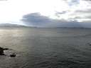 ./images/koeye/fitz-hugh/20170109/fitz-hugh20170109_122701.jpg