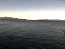 ./images/koeye/fitz-hugh/20170110/fitz-hugh20170110_095703.jpg