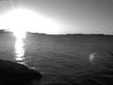 ./images/koeye/fitz-hugh/20170110/fitz-hugh20170110_162703.jpg
