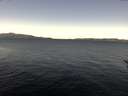 ./images/koeye/fitz-hugh/20170111/fitz-hugh20170111_105703.jpg