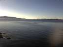 ./images/koeye/fitz-hugh/20170111/fitz-hugh20170111_135704.jpg