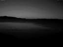 ./images/koeye/fitz-hugh/20170111/fitz-hugh20170111_165703.jpg
