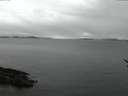 ./images/koeye/fitz-hugh/20170112/fitz-hugh20170112_075702.jpg