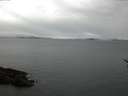 ./images/koeye/fitz-hugh/20170112/fitz-hugh20170112_080002.jpg
