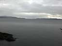 ./images/koeye/fitz-hugh/20170112/fitz-hugh20170112_082702.jpg