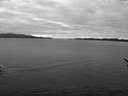 ./images/koeye/fitz-hugh/20170112/fitz-hugh20170112_135703.jpg