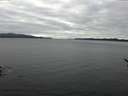 ./images/koeye/fitz-hugh/20170112/fitz-hugh20170112_140002.jpg