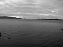./images/koeye/fitz-hugh/20170112/fitz-hugh20170112_142702.jpg