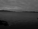 ./images/koeye/fitz-hugh/20170112/fitz-hugh20170112_152703.jpg