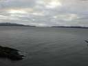 ./images/koeye/fitz-hugh/20170112/fitz-hugh20170112_160002.jpg