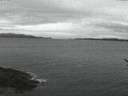 ./images/koeye/fitz-hugh/20170113/fitz-hugh20170113_075702.jpg