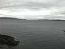 ./images/koeye/fitz-hugh/20170113/fitz-hugh20170113_080002.jpg