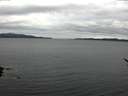 ./images/koeye/fitz-hugh/20170113/fitz-hugh20170113_105703.jpg