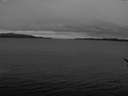./images/koeye/fitz-hugh/20170113/fitz-hugh20170113_132703.jpg