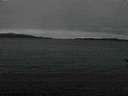 ./images/koeye/fitz-hugh/20170113/fitz-hugh20170113_135703.jpg