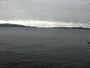 ./images/koeye/fitz-hugh/20170113/fitz-hugh20170113_140002.jpg