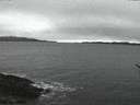 ./images/koeye/fitz-hugh/20170113/fitz-hugh20170113_172707.jpg