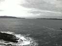 ./images/koeye/fitz-hugh/20170114/fitz-hugh20170114_075704.jpg