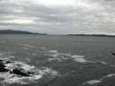 ./images/koeye/fitz-hugh/20170114/fitz-hugh20170114_102703.jpg