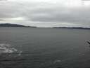 ./images/koeye/fitz-hugh/20170114/fitz-hugh20170114_145703.jpg