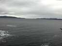 ./images/koeye/fitz-hugh/20170114/fitz-hugh20170114_152703.jpg