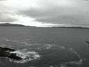 ./images/koeye/fitz-hugh/20170114/fitz-hugh20170114_172707.jpg