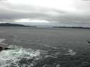 ./images/koeye/fitz-hugh/20170115/fitz-hugh20170115_121202.jpg