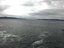 ./images/koeye/fitz-hugh/20170115/fitz-hugh20170115_135703.jpg