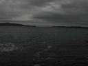 ./images/koeye/fitz-hugh/20170115/fitz-hugh20170115_142703.jpg