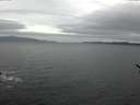 ./images/koeye/fitz-hugh/20170115/fitz-hugh20170115_155704.jpg