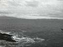 ./images/koeye/fitz-hugh/20170116/fitz-hugh20170116_075703.jpg
